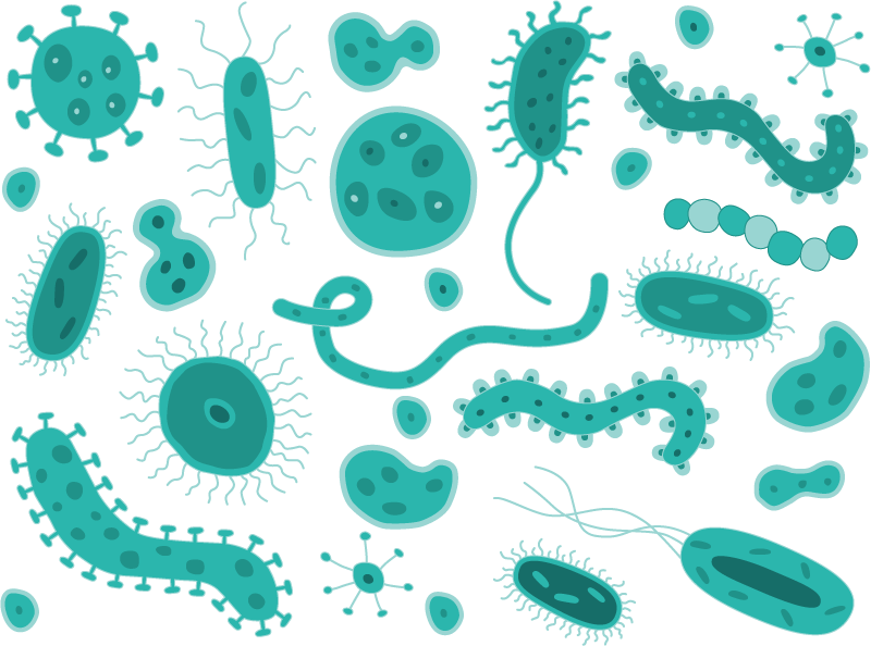 shutterstock_230903476_web Germs