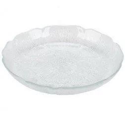 410270 Glass Plate