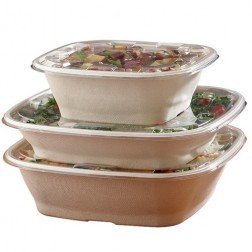 ecofriendly-pulp Pulp Containers