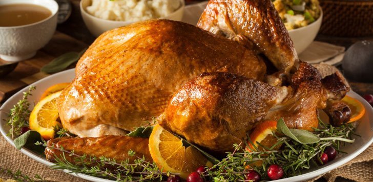 Thanksgiving Turkey
