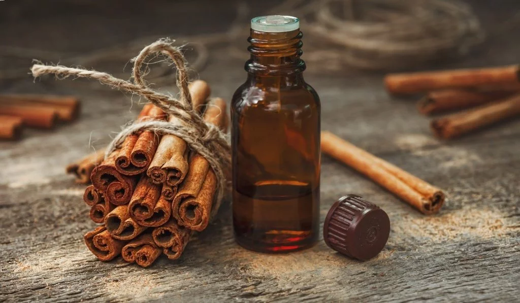 5 Ways to Get Ready For Fall and Give Your Business a Boost