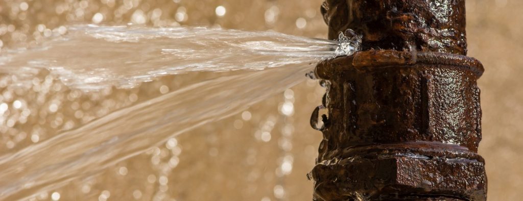5 Tips for a Successful Department of Health Inspection