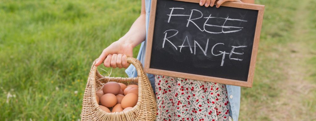 How To Better Understand Food Labeling