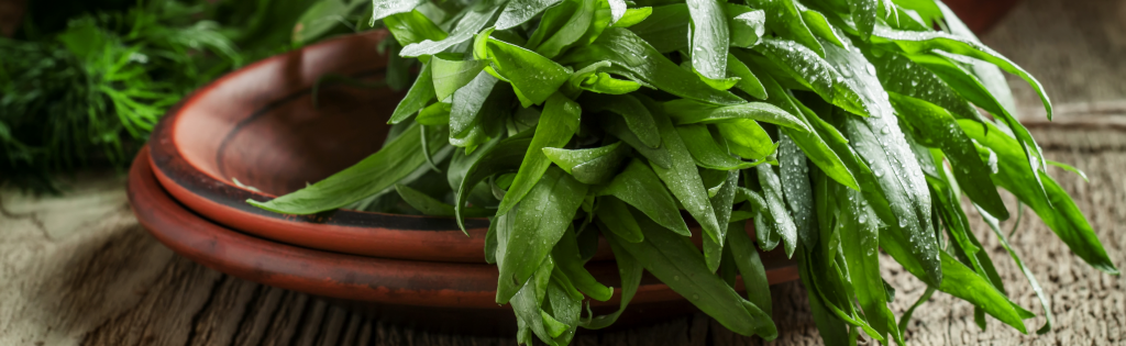 Our Favorite Herbs To Use In The Summertime