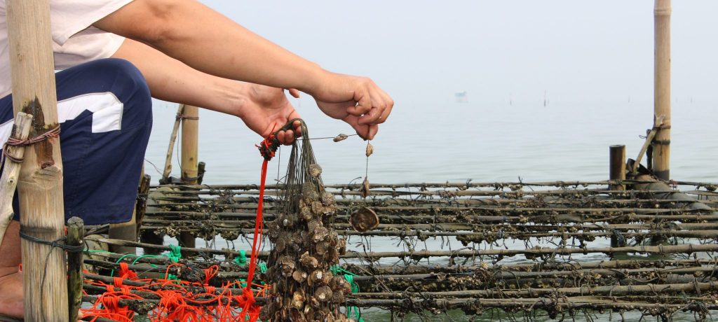 PJP Food History Series: The History of Oysters