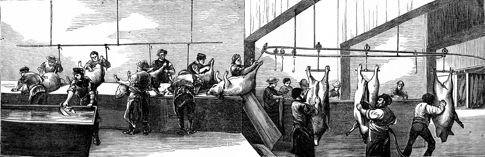 PJP Food History Series The History of Pork Penn Jersey Paper