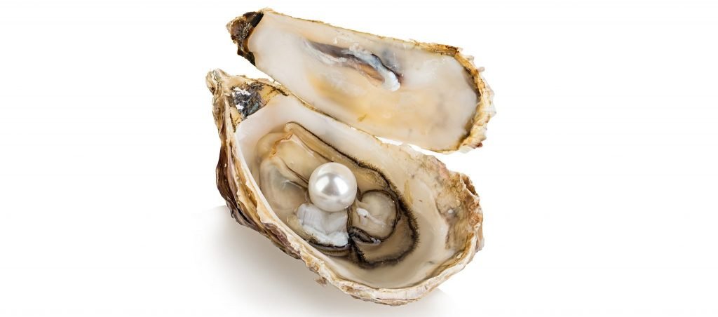 PJP Food History Series: The History of Oysters