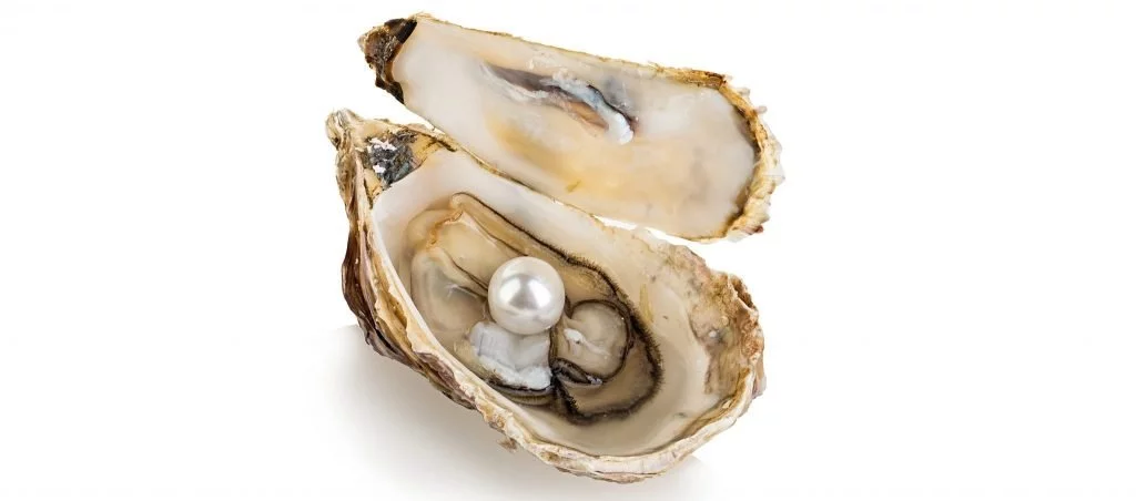 PJP Food History Series: The History of Oysters