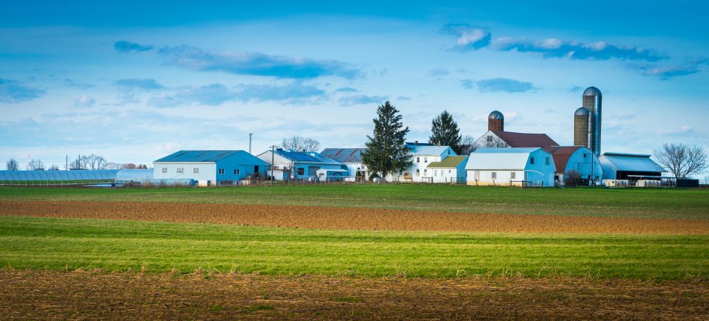 Culinary Spotlight: Lancaster