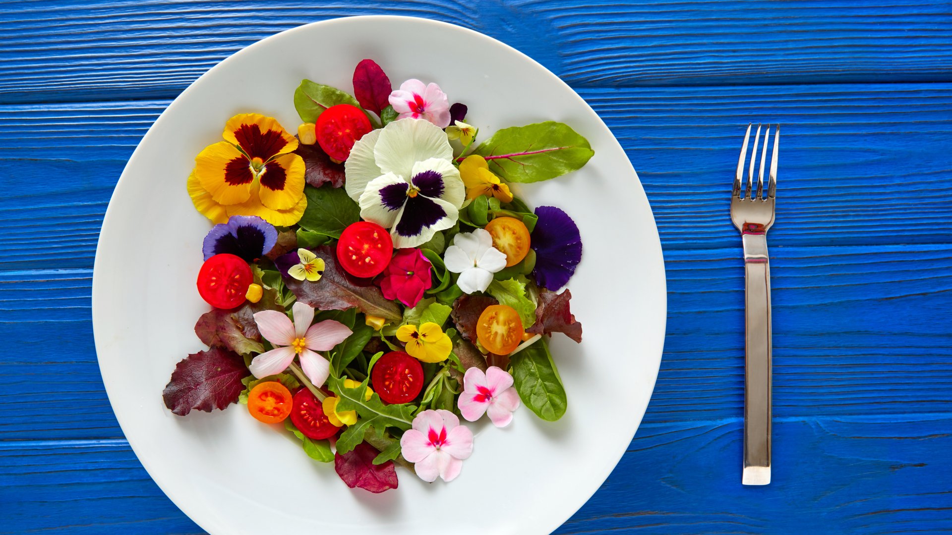 A Guide to Edible Flowers - Beyond Nasturtiums - Penn Jersey Paper